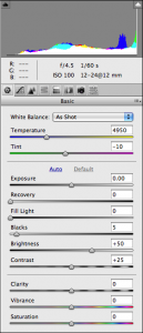 Camera Raw : panel